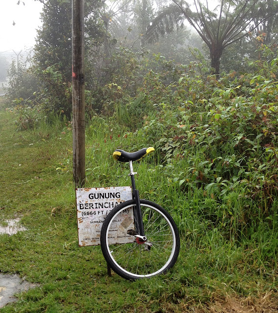 Cameron Highlands