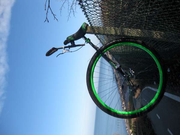 An early ride with my Oracle 36